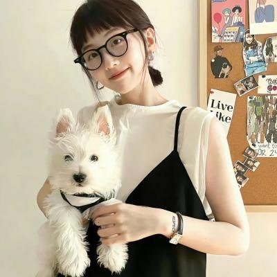 丢羊
